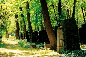 Berlin's Weissensee Cemetery (courtesy of Seventh Art Releasing)